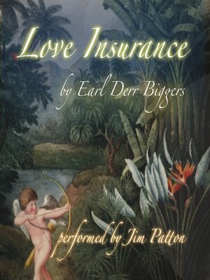 cover image of Love Insurance